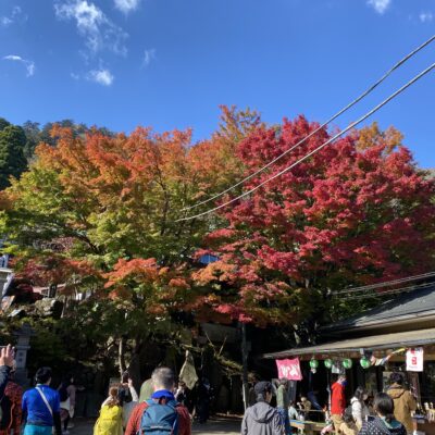 阿夫利神社まで紅葉狩りライドした話。