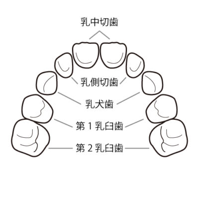 人生で初めて親知らずを抜いた話。