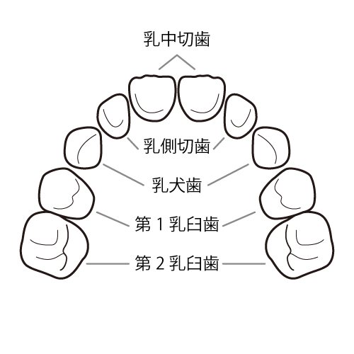 人生で初めて親知らずを抜いた話。